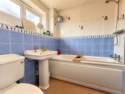 Picture 16